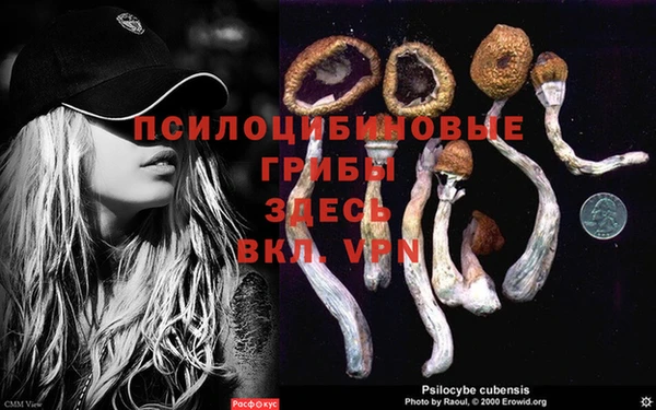 дурь Абаза